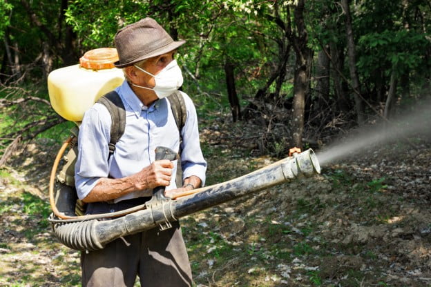 tree disease control Utah