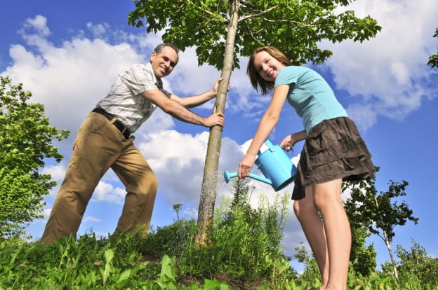 Planting Trees for Energy Efficiency