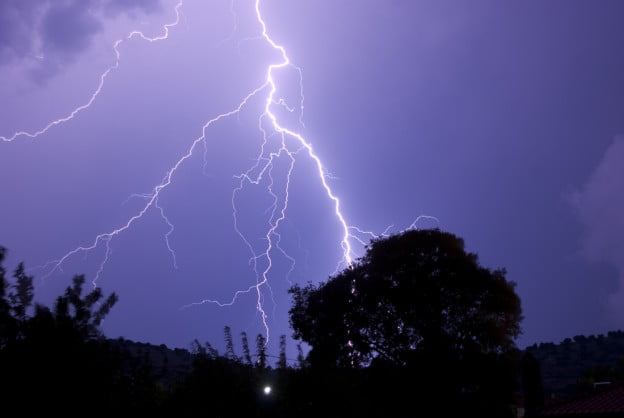 Handling Tree Damage from a Lightning Strike