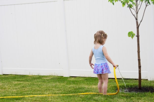 After Tree Removal, Can You Plant a New Tree in the Same Spot